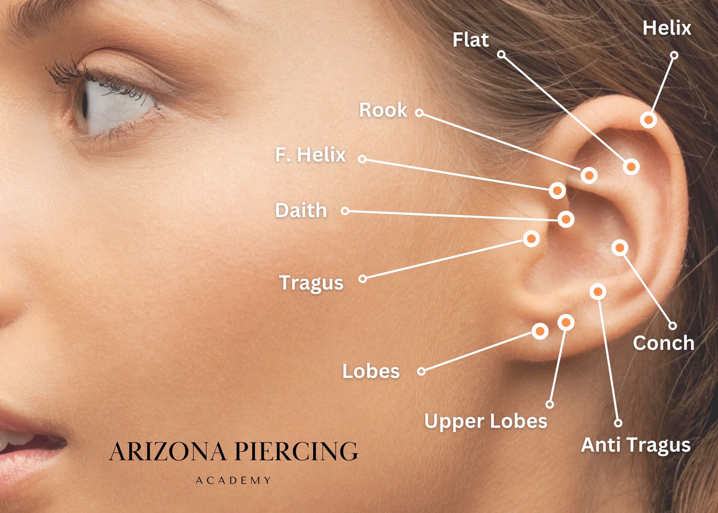 Micro Piercing Jewelry 20 Gauge