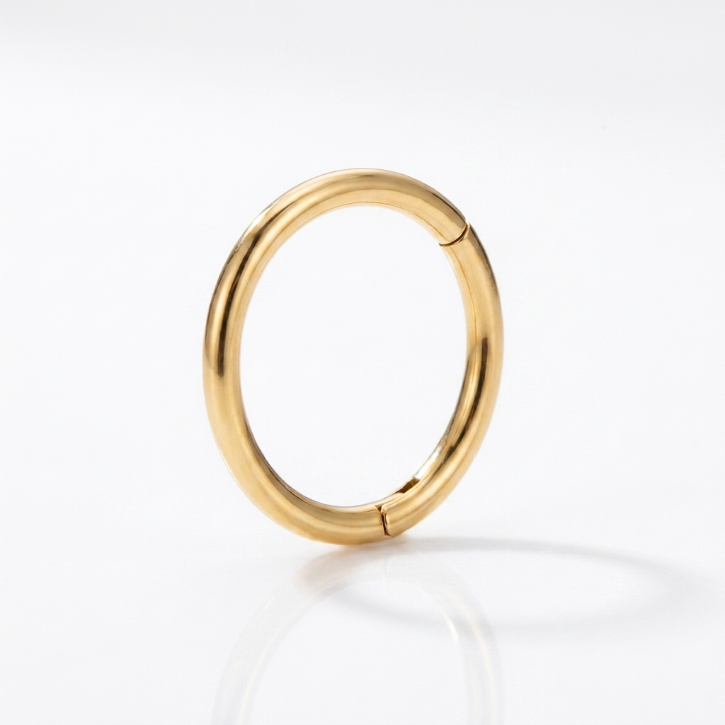 Hinged Segment Hoop Earring – Implant Grade Titanium ASTM F136, Gold, 18G & 20G Clicker for Cartilage, Lobe, Helix & Nose