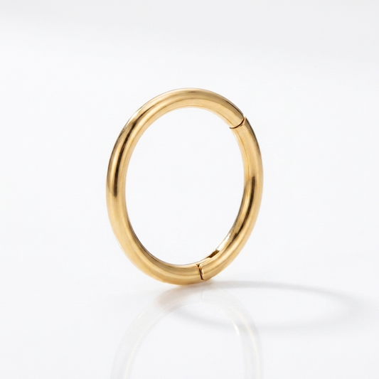 Hinged Segment Hoop Earring – Implant Grade Titanium ASTM F136, Gold, 18G & 20G Clicker for Cartilage, Lobe, Helix & Nose